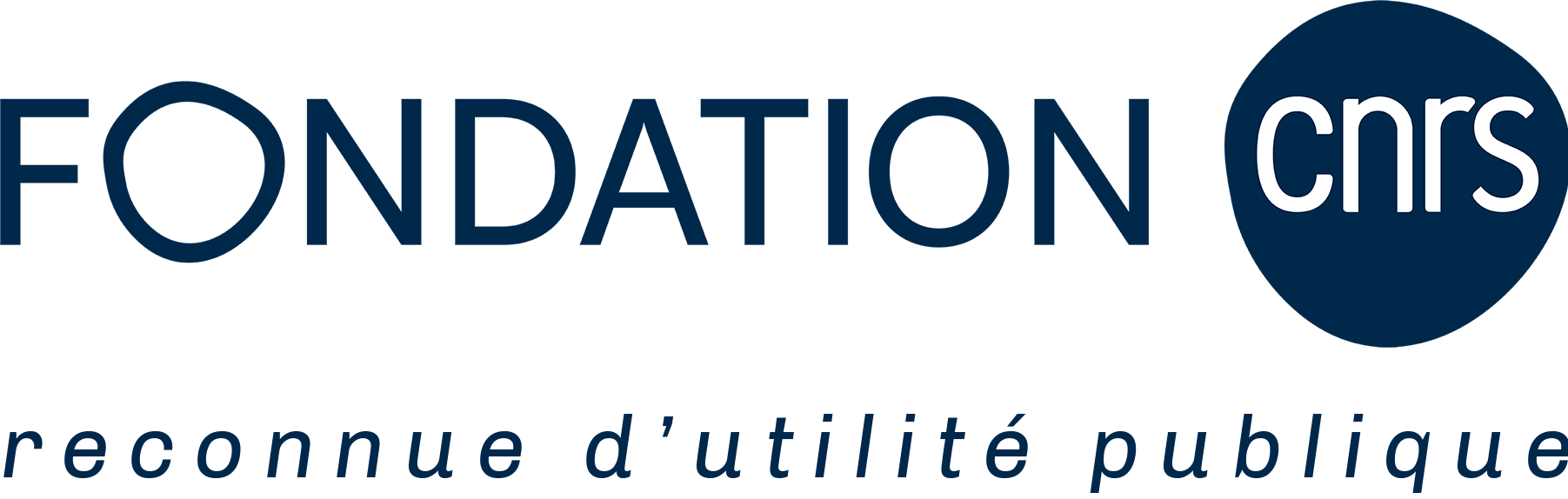 Logo de la Fondation CNRS
