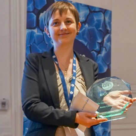 Anne-Chevallereau Anne-Chevallereau