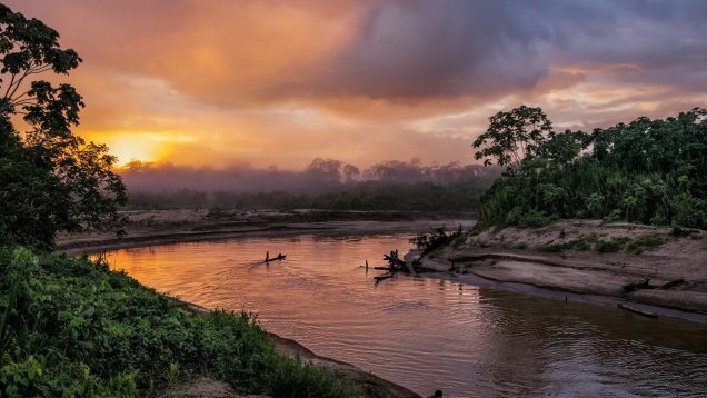 © Charlie Hamilton James (National Geographic) *