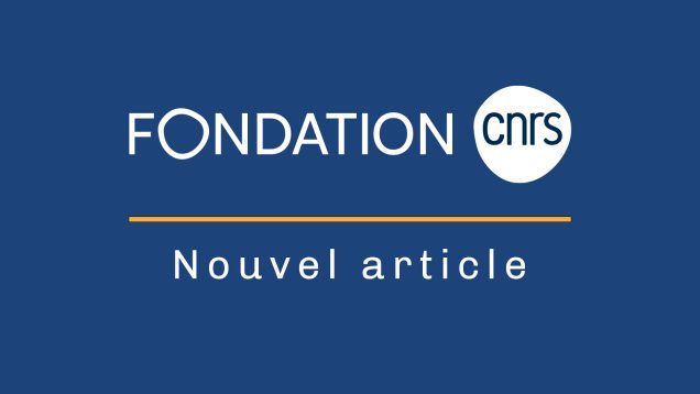 Fondation-cnrs-image-neutre