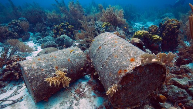 ©Jill Heinerth / Ocean Image Bank